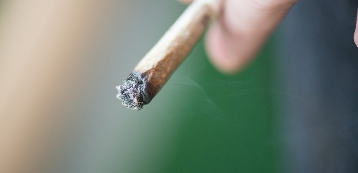 对大麻烟最好的空气净化器技术是什么 Molekule博客